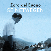 Seinetwegen - Zora del Buono - Hörbuch