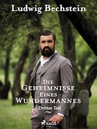 Die Geheimnisse eines Wundermannes - Dritter Teil - Ludwig Bechstein - E-Book