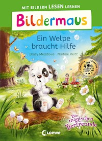 Bildermaus - Ein Welpe braucht Hilfe - Daisy Meadows - E-Book