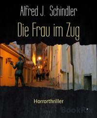 Die Frau im Zug - Alfred J. Schindler - E-Book