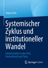 Systemischer Zyklus und institutioneller Wandel - Josip Lučev - E-Book