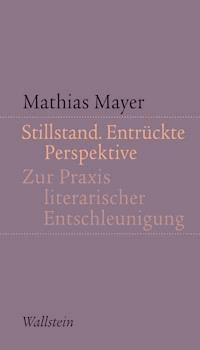 Stillstand. Entrückte Perspektive - Mathias Mayer - E-Book