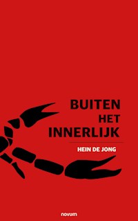 Buiten het Innerlijk - Hein de Jong - E-Book