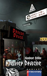 KLEINER DRACHE - Norbert Stöbe - E-Book