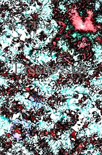 Erschossen - A.A. Bort - E-Book