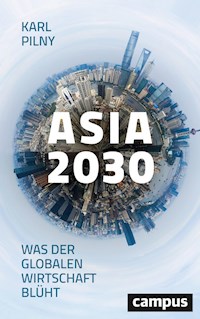 Asia 2030 - Karl Pilny - E-Book