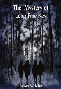 The Mystery of Long Pine Key - William Hudson - E-Book