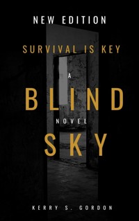 Blind Sky - Kerry S Gordon - E-Book