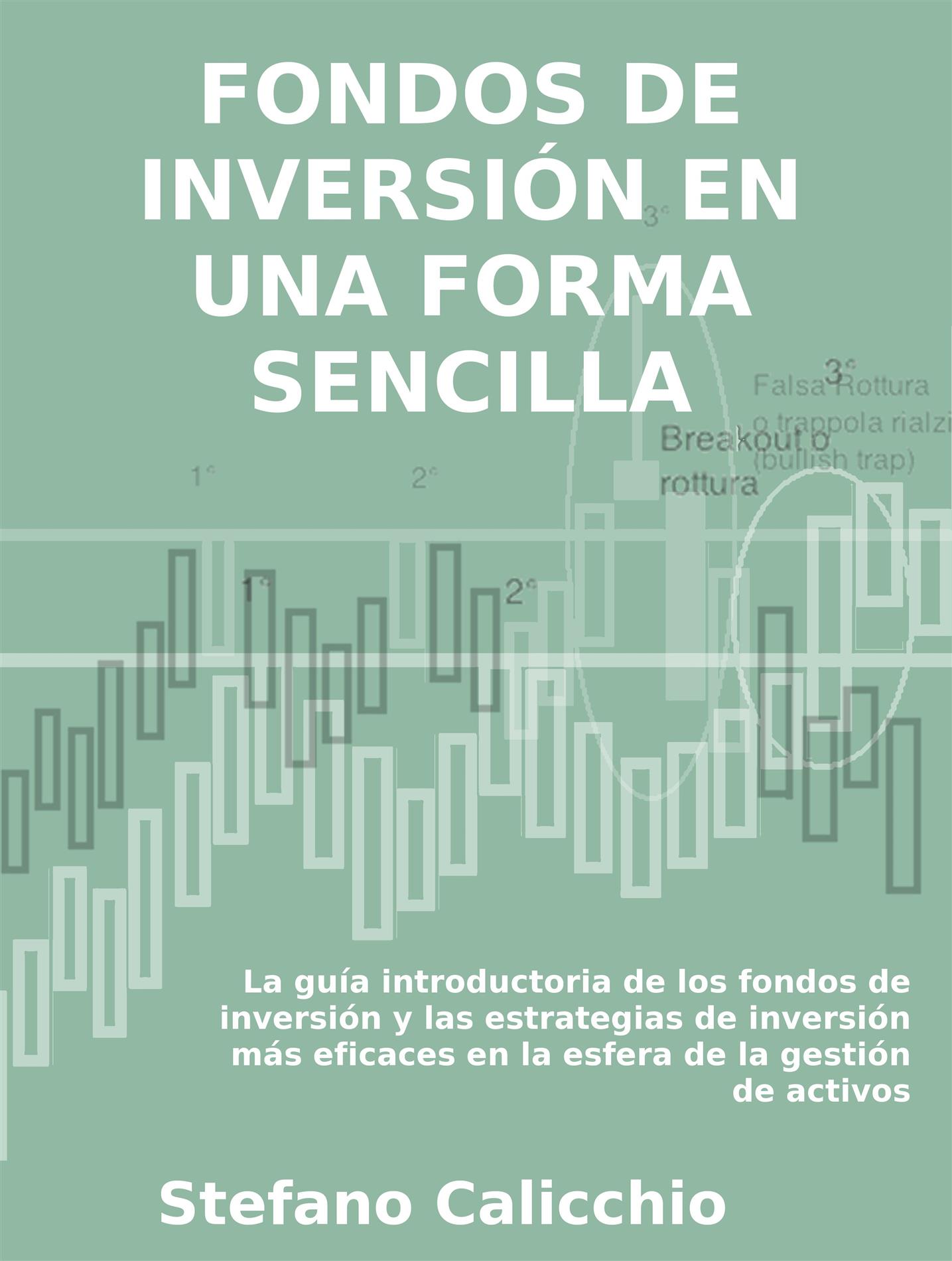Fondos de inversión en una forma sencilla - Stefano Calicchio - E-Book
