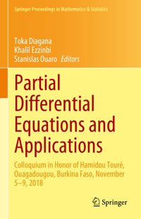 Partial Differential Equations and Applications -  - E-Book
