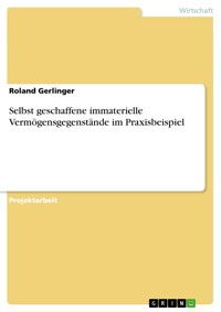 Selbst geschaffene immaterielle Vermögensgegenstände im Praxisbeispiel - Roland  Gerlinger - E-Book