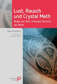 Lust, Rausch und Crystal Meth - David Fawcett - E-Book