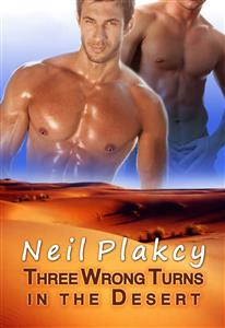 Three Wrong Turns in the Desert - Neil Plakcy - E-Book