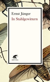 In Stahlgewittern - Ernst Jünger - E-Book