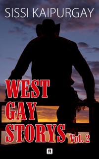 West Gay Storys Vol. 2 - Sissi Kaipurgay - E-Book