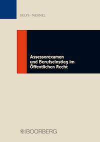 Assessorexamen und Berufseinstieg im Öffentlichen Recht - Sören Delfs - E-Book