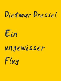 Ein ungewisser Flug - Dietmar Dressel - E-Book