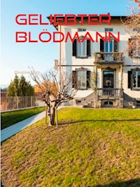 Geliebter Blödmann - Christine Stutz - E-Book