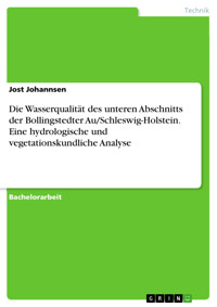 Die Wasserqualität des unteren Abschnitts der Bollingstedter Au/Schleswig-Holstein. Eine hydrologische und vegetationskundliche Analyse - Jost Johannsen - E-Book