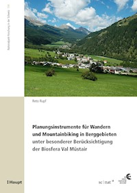 Planungsinstrumente für Wandern und Mountainbiking in Berggebieten - Reto Rupf - E-Book