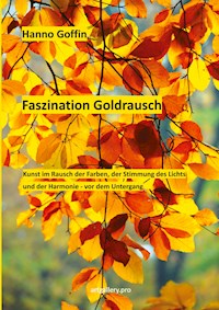 Faszination Goldrausch - Hanno Goffin - E-Book