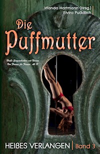 Die Puffmutter - Band 3 - Heißes Verlangen - Wanda Hartmann - E-Book