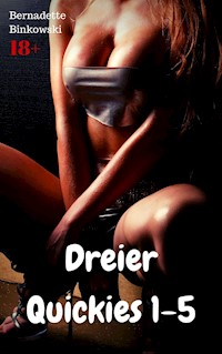Dreier Quickies 1-5 - Bernadette Binkowski - E-Book