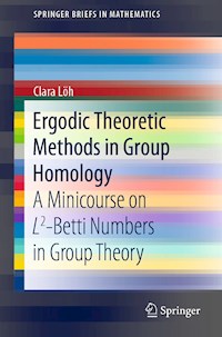 Ergodic Theoretic Methods in Group Homology - Clara Löh - E-Book