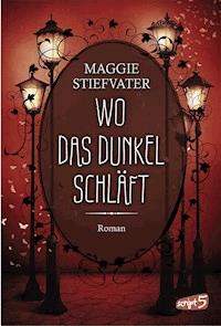 Wo das Dunkel schläft (Band 4) - Maggie Stiefvater - E-Book