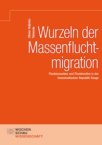Wurzeln der Massenfluchtmigration - Olivier Ndjimbi-Tshiende - E-Book