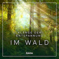 Klänge der Entspannung - Im Wald - Rasmus Broe - Hörbuch