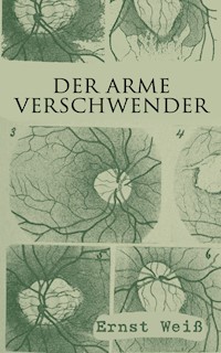 Der arme Verschwender - Ernst Weiß - E-Book