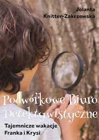 Tajemnicze wakacje Franka i Krysi - Jolanta Knitter-Zakrzewska - E-Book