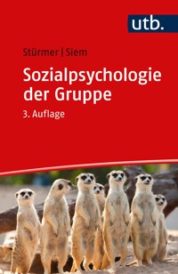 Sozialpsychologie der Gruppe - Stefan Stürmer - E-Book