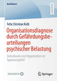 Organisationsdiagnose durch Gefährdungsbeurteilungen psychischer Belastung - Felix Christian Kolb - E-Book