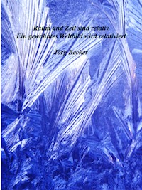 Raum und Zeit sind relativ - Jörg Becker - E-Book