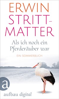 Als ich noch ein Pferderäuber war - Erwin Strittmatter - E-Book