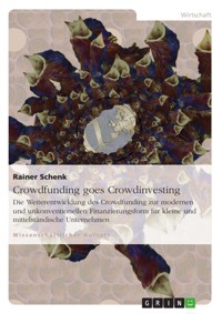 Crowdfunding goes Crowdinvesting - Rainer Schenk - E-Book