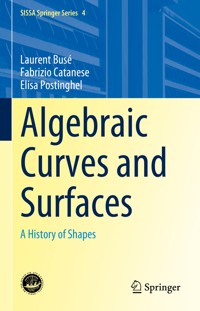 Algebraic Curves and Surfaces - Laurent Busé - E-Book