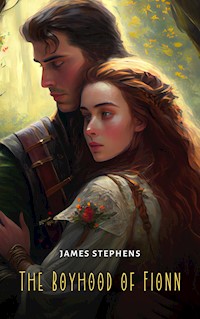 The Boyhood of Fionn - James Stephens - E-Book