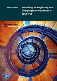 Mentoring zur Begleitung des Übergangs vom Studium in den Beruf - Babette Mölders - E-Book