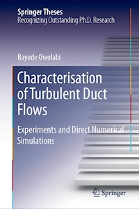 Characterisation of Turbulent Duct Flows - Bayode Owolabi - E-Book