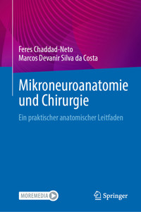 Mikroneuroanatomie und Chirurgie - Feres Chaddad-Neto - E-Book