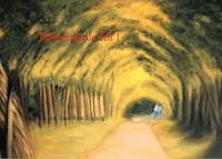 Wolkenpferde Teil 1 - Anita Chakhchir - E-Book