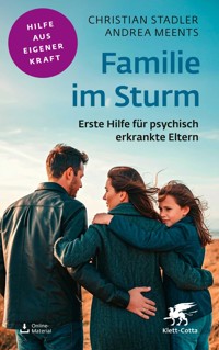 Familie im Sturm - Christian Stadler - E-Book