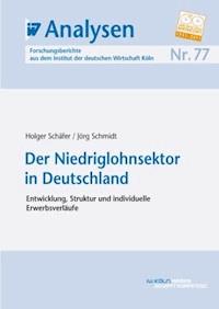 Der Niedriglohnsektor in Deutschland - Holger Schäfer - E-Book