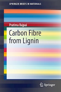 Carbon Fibre from Lignin - Pratima Bajpai - E-Book