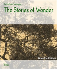 The Stories of Wonder - Tsheultrim Wangmo - E-Book