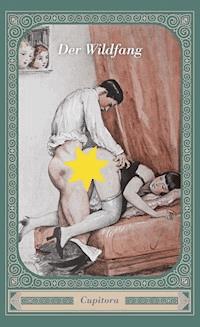 Der Wildfang und fünf andere versaute Geschichten - Anonym - E-Book