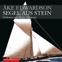 Segel aus Stein (Ein Erik-Winter-Krimi 6) - Åke Edwardson - Hörbuch